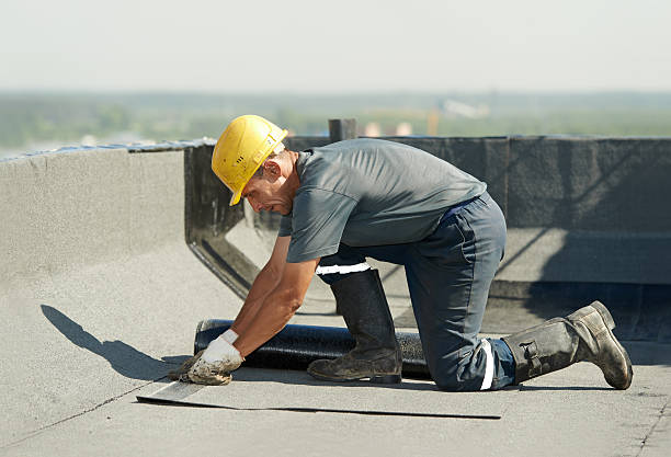 Best Professional Insulation Contractor  in Nettleton, MS