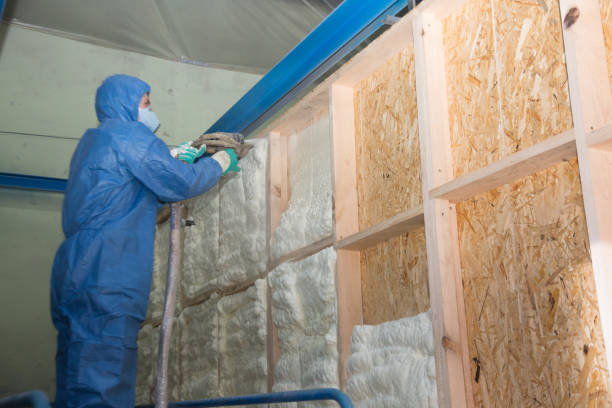 Best Fiberglass Insulation  in Nettleton, MS