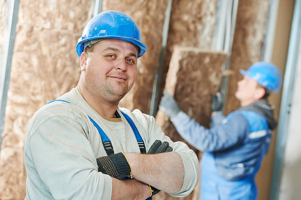 Best Professional Insulation Contractor  in Nettleton, MS