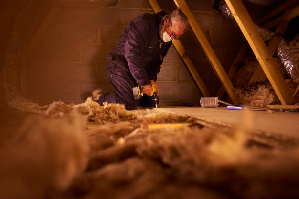 Best Attic Insulation Near Me  in Nettleton, MS