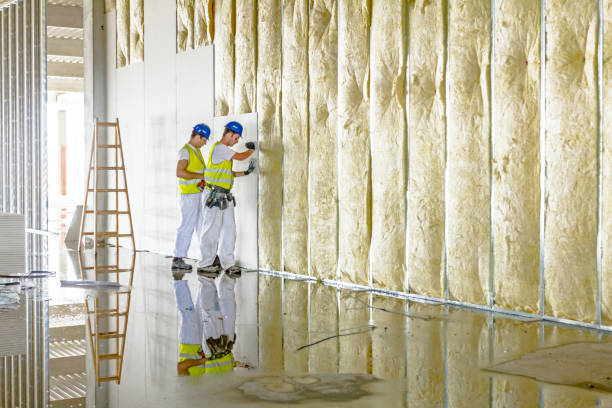 Best Attic Insulation Installation  in Nettleton, MS